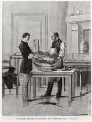 Physiker experimentieren an einem Torpedo, 2. Hälfte des 19. Jahrhunderts