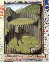 Wolf Falle - in „Jagd Buch von Gaston Phoebus, Graf von Foix, Herr von Béarn“