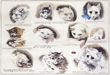 Plan des Mazas-Gefängnisses und Zellen für Gefangene, Boulevard Mazas, Paris