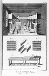 Tafel, die eine Tabakfabrik darstellt. Manufacture de Tabac - L