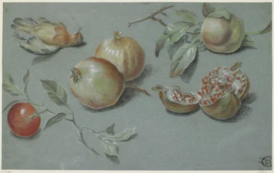 Granatäpfel und toter Vogel, frühes 19. Jahrhundert