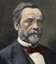 Porträt von Louis Pasteur (1822-1895), englischer Chemiker und Mikrobiologe