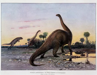 Prähistorische Tiere: ein Laelaps greift einen Brontosaurus an - in „Das Universum und die Menschheit“