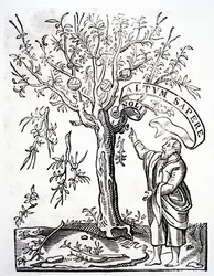 Druckeremblem von Robert Estienne, Paris, 1526