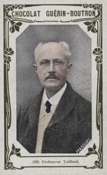Professor Vaillant