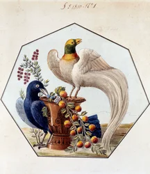 Projekt für den Tisch der Vögel in Porzellan von Alexandre Brongniart (1770-1847). 1810 Sèvres, Archive der Manufacture de Sèvres