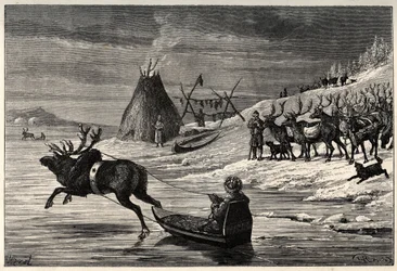 Rentierherde in Lappland - Gravur aus „Der Mensch und das Tier“ von Arthur Mangin - 1872 -