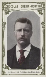 Roosevelt, Präsident der Vereinigten Staaten