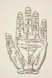 Exemplar der linken Hand mit den Linien und ihren horoskopischen Bezeichnungen, aus 