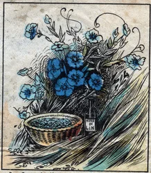 Textil, Leinen. Flachsblume (blau), Stängel aus Stroh und Filamenten zur Herstellung von Leinengarn. Samen in der Medizin verwendet und aus denen Öl für die Industrie gewonnen wird. Gravur