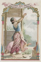 Das Pongal-Fest