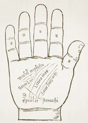 Die rechte Hand, Hauptlinien, Kopie einer Illustration aus Chiromantia von Ioannes ab Indagine, 1531, verwendet in einer Geschichte der Magie, veröffentlicht Ende des 19. Jahrhunderts