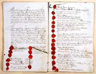 Der Vertrag von Rijswijk, 30. Oktober 1697