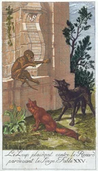 Der Wolf, der Fuchs und der Affe, aus 