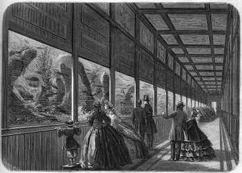 Das Aquarium des Pariser Akklimatisationsgartens im Jahr 1863.