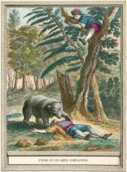 Der Bär und die zwei Gefährten