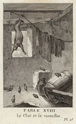 Die Katze und die alte Ratte