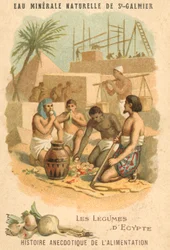 Das Gemüse Ägyptens