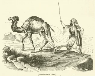 Ein Pflug aus dem Libanon