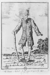 Voltaire in Ferney: 