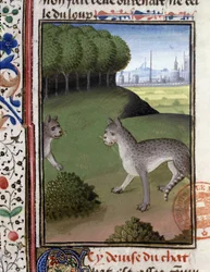 Wildkatzen - aus „Hunting Book of Gaston Phoebus, Count of Foix, Lord of Béarn“