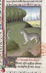 Wildkatzen, aus dem Livre de la Chasse von Gaston Phebus de Foix (1331-91)