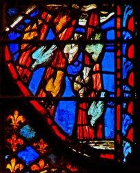 Das Erscheinen der Wachteln