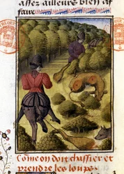 Wolfsjagd - aus „Hunting Book of Gaston Phoebus, Count of Foix, Lord of Béarn“