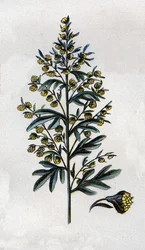 Illustration in Mon docteur - traité de médecine et d