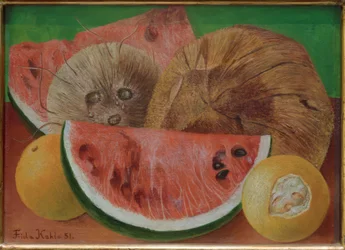 Blicke oder Die Kokosnüsse