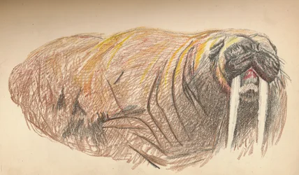 Schläfrig und mürrisch, 12. September 1893. Pastellskizze, 1893, 1897