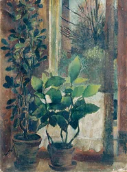 Fenster mit Blumen