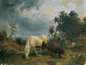 Ein Schimmel auf der Heide
