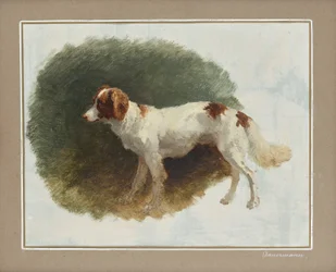 Jagdhund