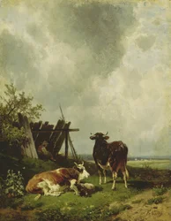 Die Kühe