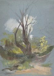 Bergpfad mit einem Baum