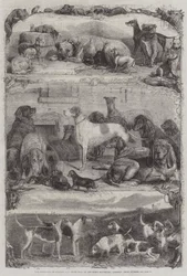 Die Ausstellung von Sport- und anderen Hunden im Horse Repository, Holborn, Preisgekrönte Tiere