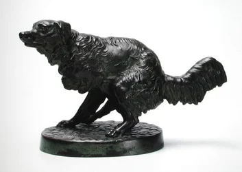 Langhaariger Jagdhund