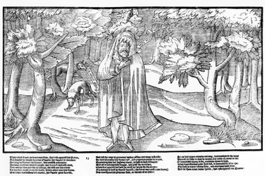 Rorie Oge, ein wilder Kerne und besiegter Rebell, im Wald mit Wölfen als Gesellschaft, Platte 11 aus 