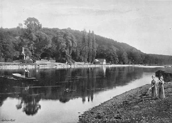 Cliefden Woods, ca. 1896