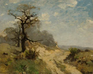 Landschaft mit Weg