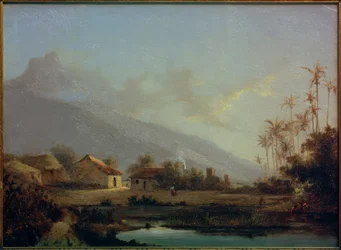 Tropenlandschaft