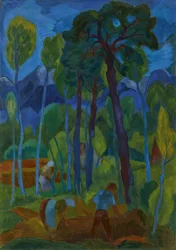 Moorlandschaft