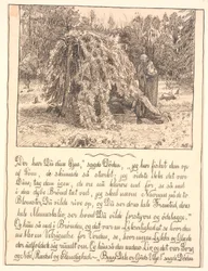 Da hast du deine Augen, sagte der Tod...
