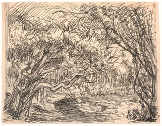 Ein Waldsee