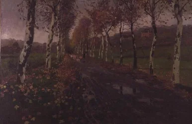 Die Allee der Silberbirken