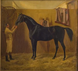 Black Comet