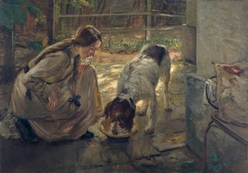Hundefütterung