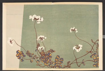 Shasei sôka môyô, Muster von Pflanzen und Blumen aus dem Leben