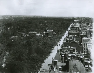 Fifth Avenue, Blick nach Norden vom Dach des Metropolitan Club in der 61st Street, New York City, ca. 1904